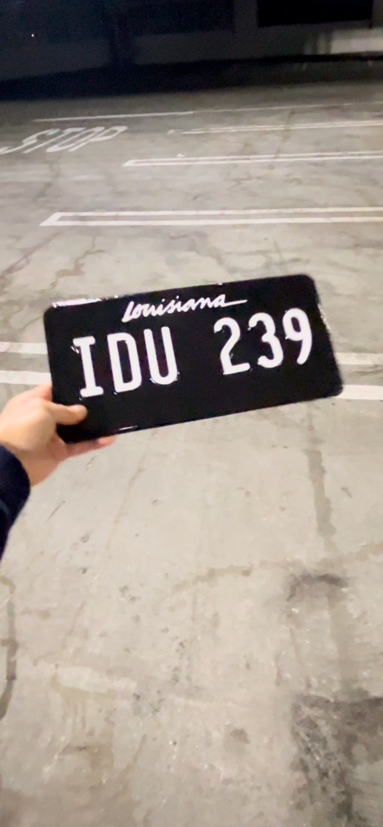 Louisiana License Plate Vinyl Wrap Kit
