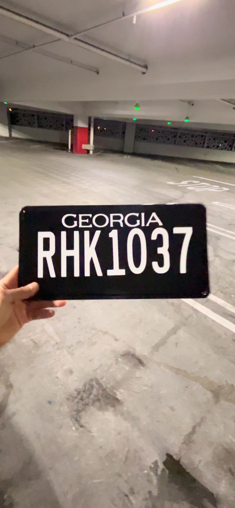Georgia License Plate Vinyl Wrap Kit