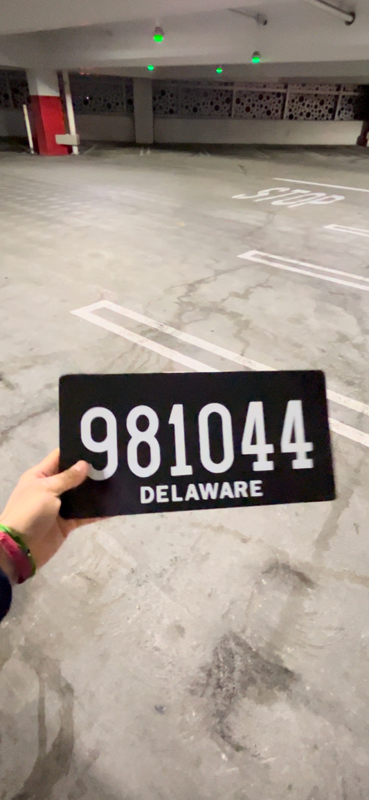 Delaware License Plate Vinyl Wrap Kit