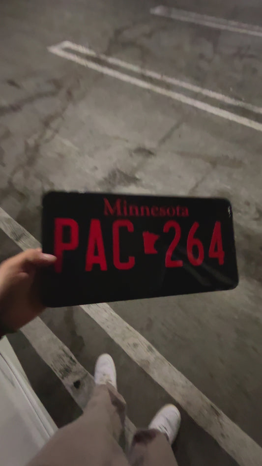 Minnesota License Plate Vinyl Wrap Kit